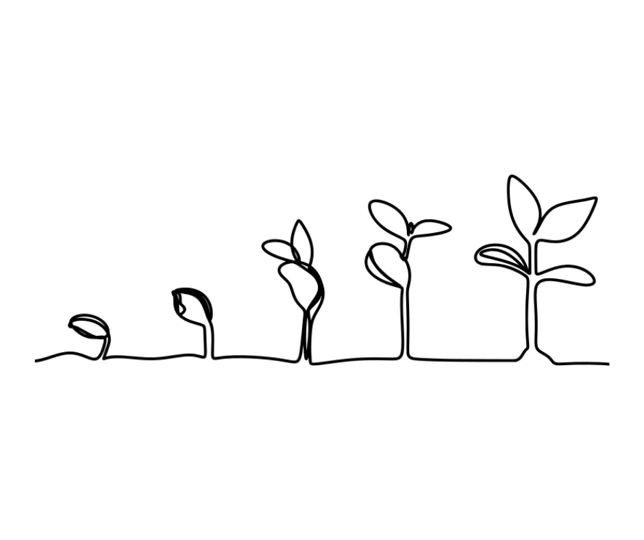 Line drawing illustration