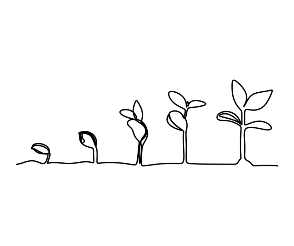 Line drawing illustration