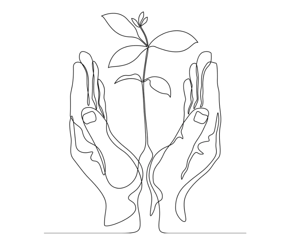 Line drawing illustration