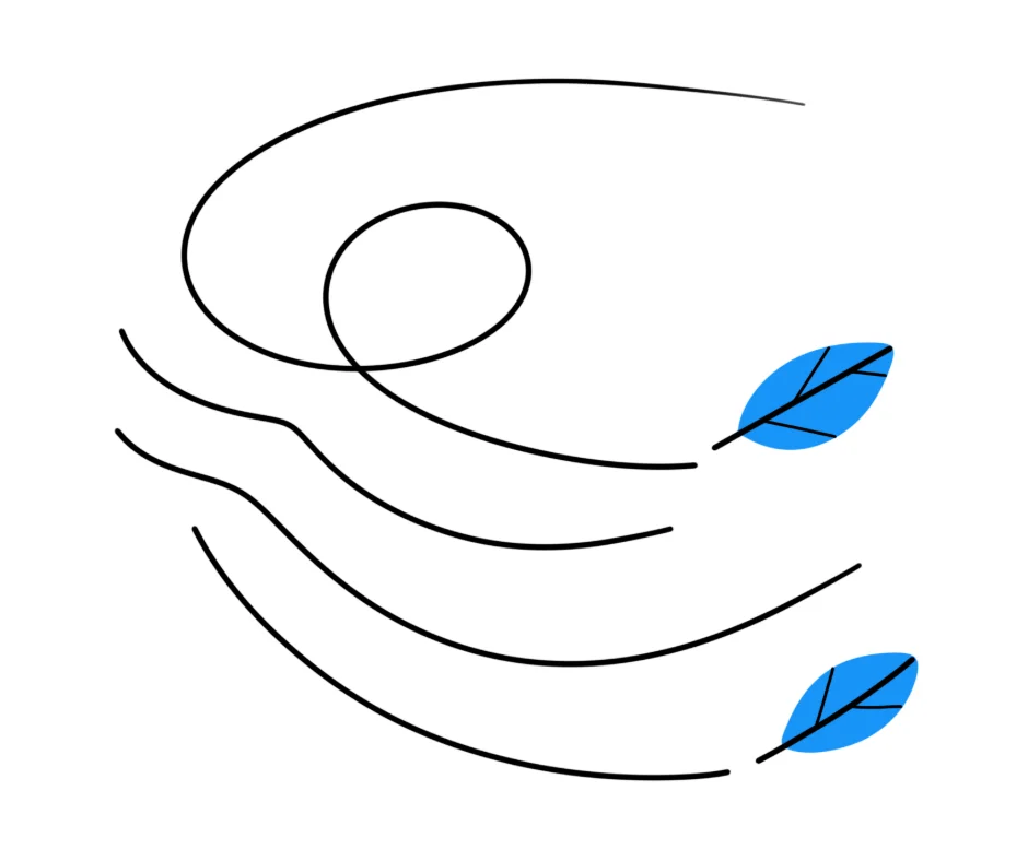 Line drawing illustration