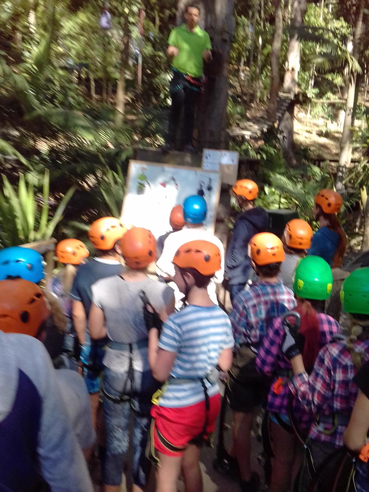 A group of children in climbing helmets, backs to the camera, listening to a briefing in the trees